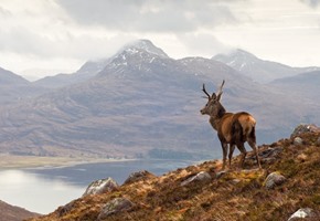 Edinburgh & Scottish Highlands