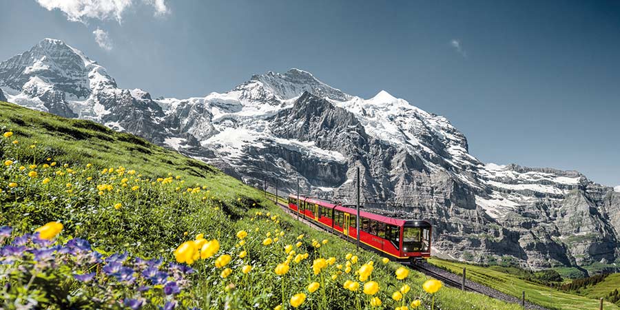 Journeying on the Jungfrau Express