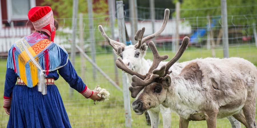 Enjoying a cultural Sámi experience
